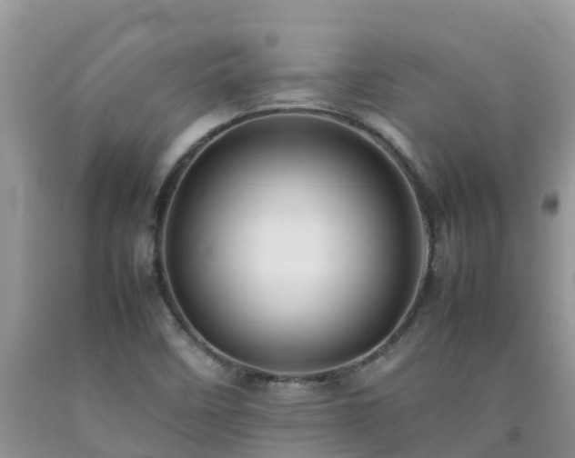 X0000092061458200709191131