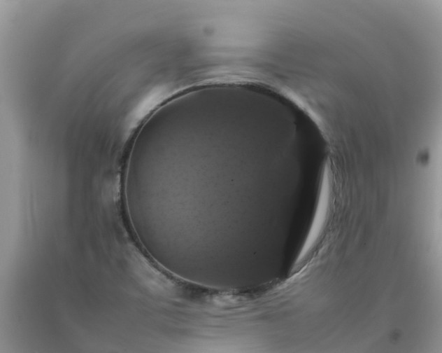 X0000092061459200709191131