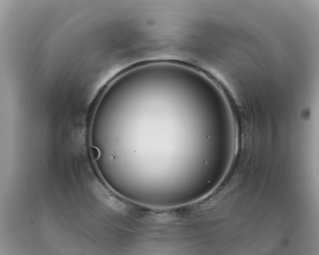 X0000092061460200709191131