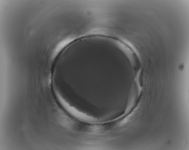 X0000092061461200709191131