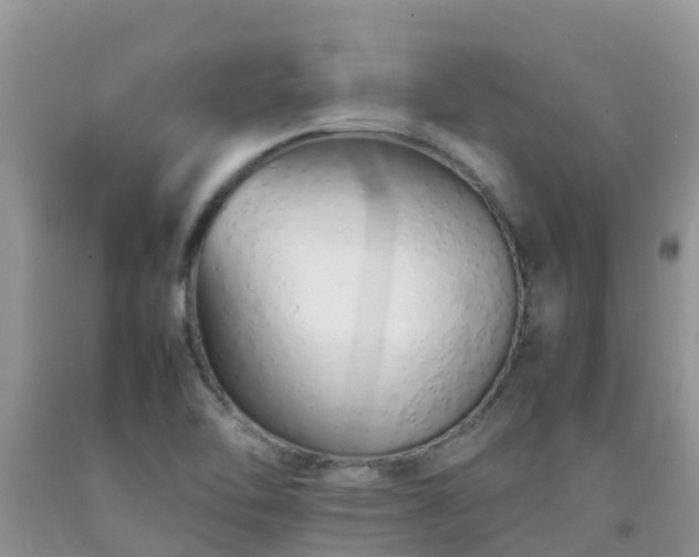 X0000092061462200709191131