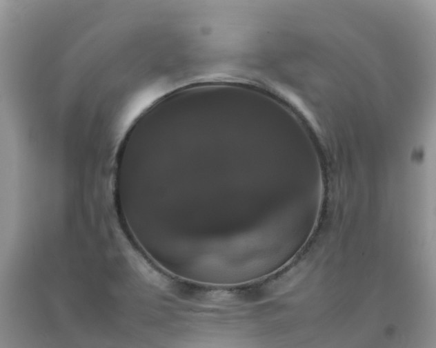 X0000092061463200709191131