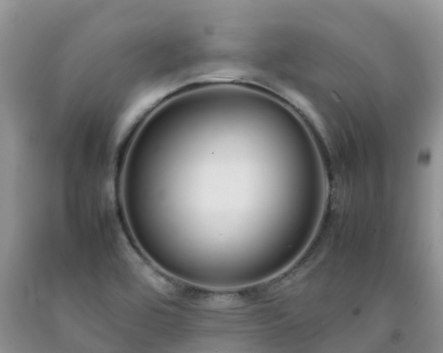 X0000092061464200709191131