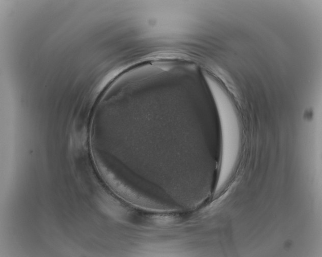 X0000092061465200709191131