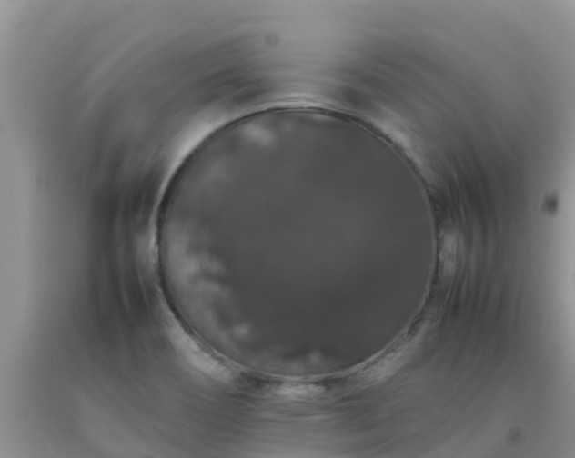 X0000092061466200709191131