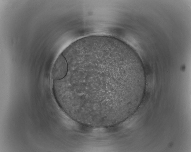 X0000092061467200709191131