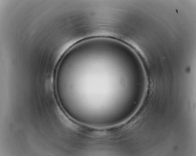 X0000092061468200709191131