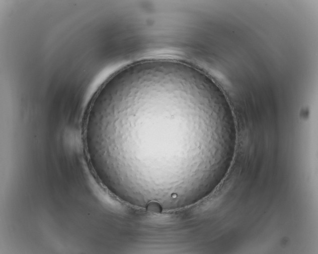 X0000092061470200709191131