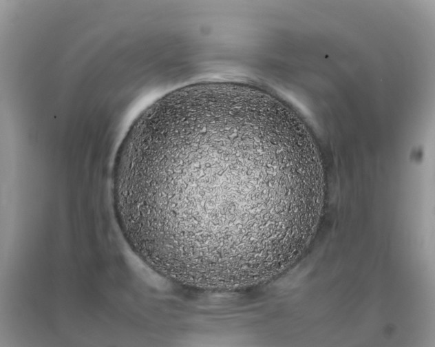 X0000092061471200709191131