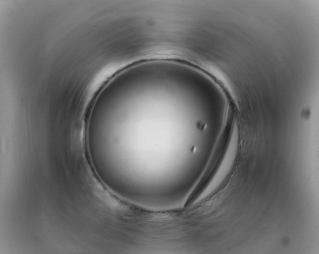 X0000092061472200709191131