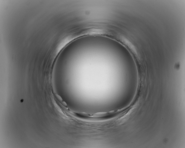 X0000092061473200709191131