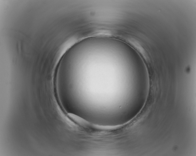 X0000092061475200709191131