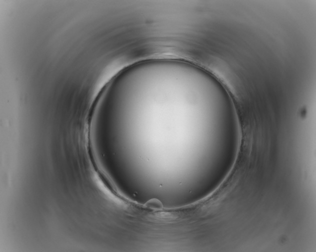 X0000092061476200709191131