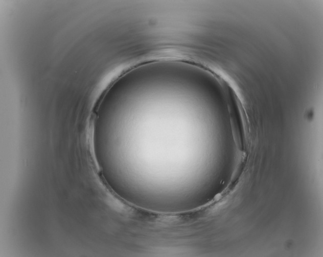 X0000092061477200709191131