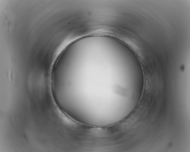 X0000092061478200709191131