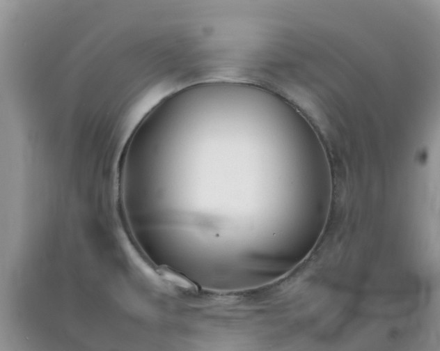 X0000092061479200709191131