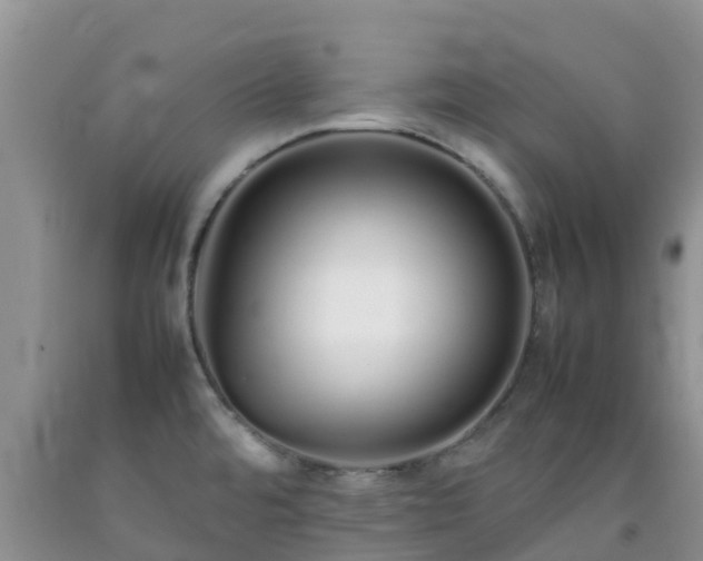 X0000092061480200709191131