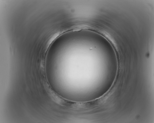 X0000092061481200709191131