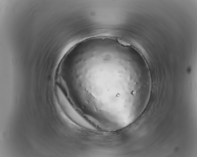 X0000092061483200709191131