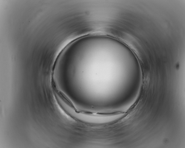 X0000092061484200709191131