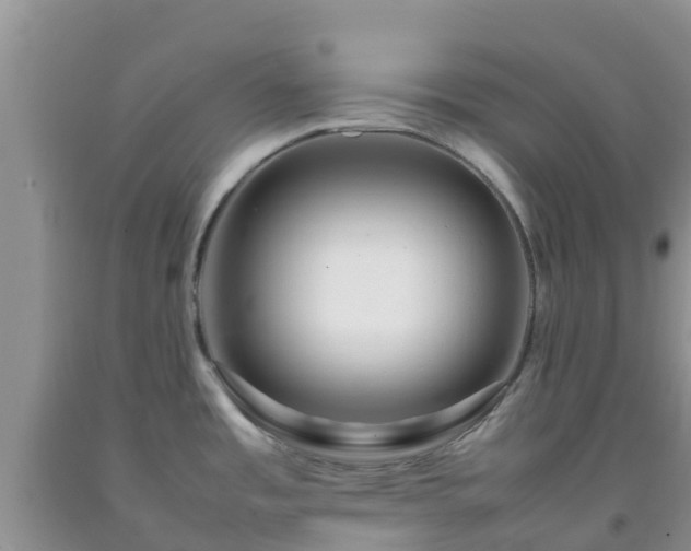 X0000092061485200709191131