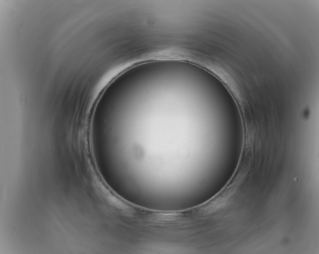 X0000092061486200709191131