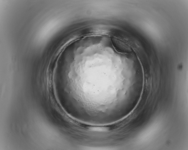 X0000092061487200709191131