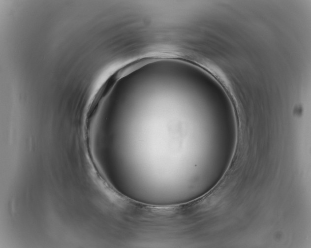 X0000092061488200709191131