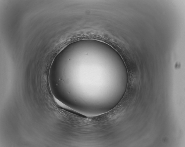 X0000092061489200709191130