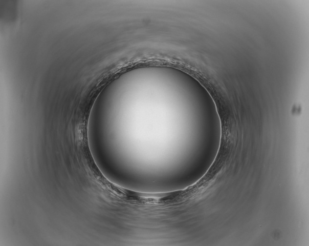 X0000092061490200709191130