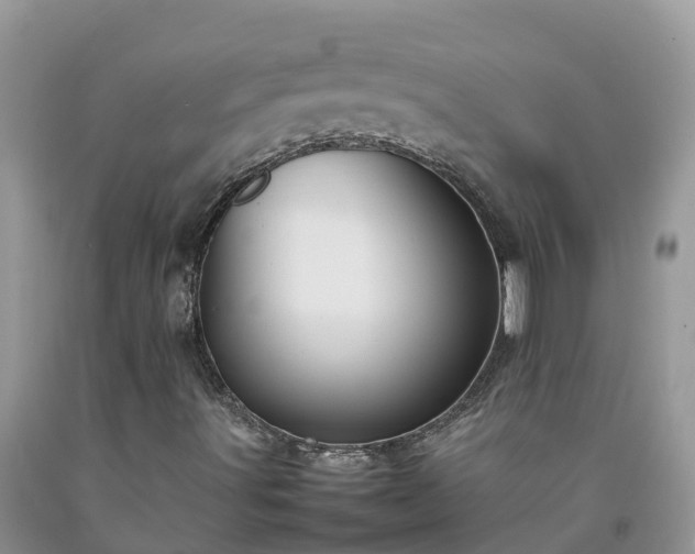 X0000092061491200709191130