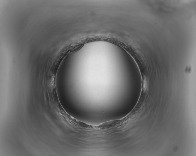 X0000092061492200709191130