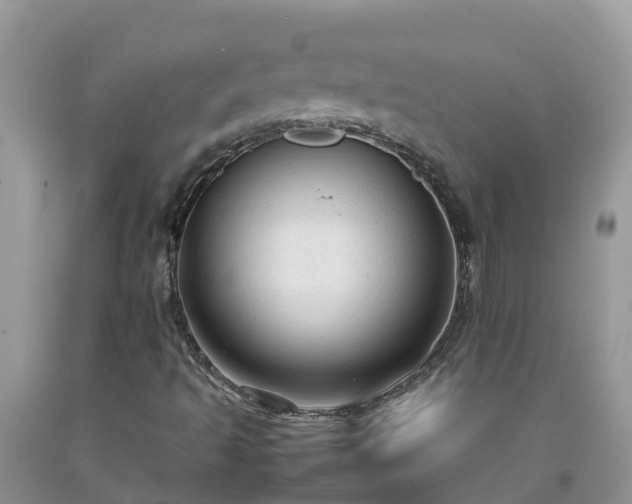 X0000092061493200709191130