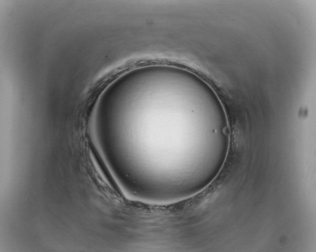 X0000092061494200709191130