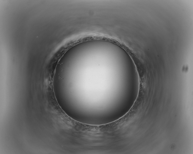 X0000092061495200709191130