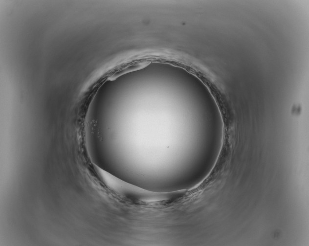 X0000092061496200709191130