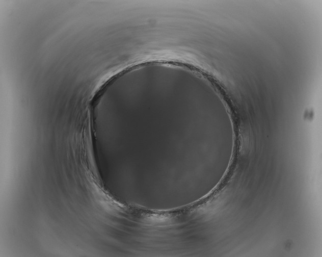 X0000092061497200709191130