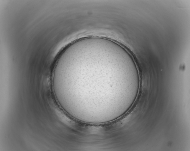 X0000092061498200709191130