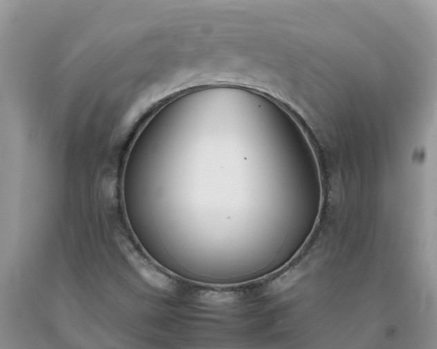 X0000092061499200709191130