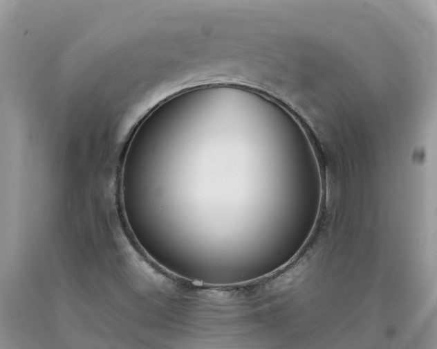 X0000092061500200709191130