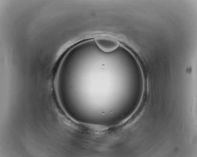 X0000092061501200709191130