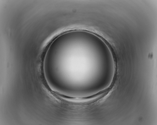 X0000092061502200709191130