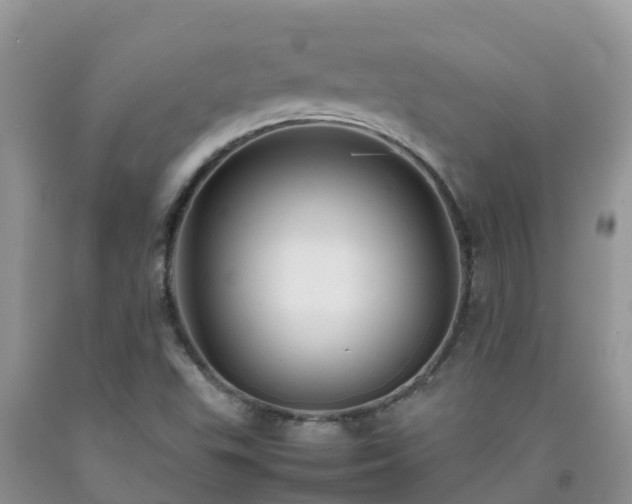 X0000092061503200709191130