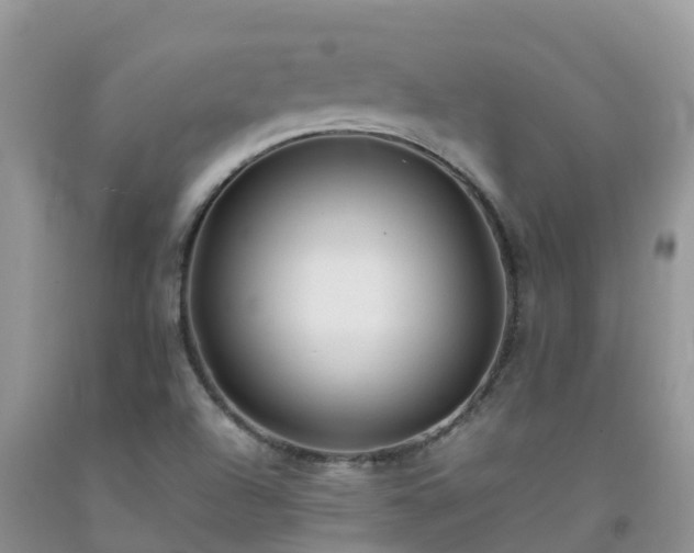 X0000092061504200709191130