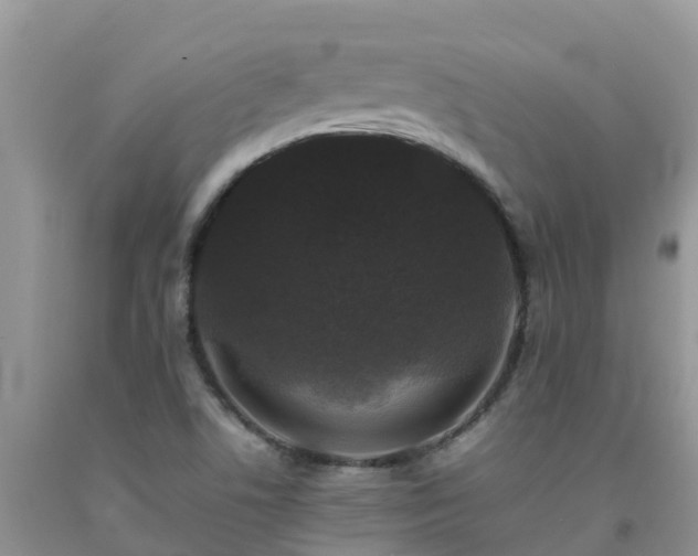 X0000092061506200709191130