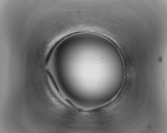 X0000092061507200709191130