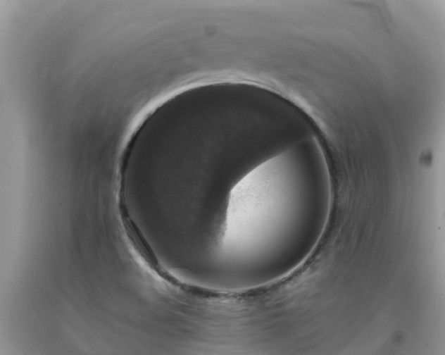 X0000092061508200709191130