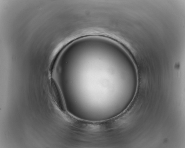 X0000092061509200709191130