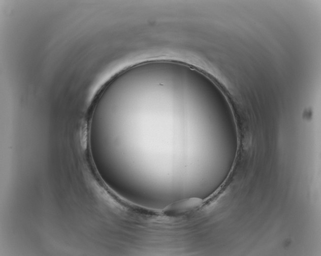 X0000092061510200709191131