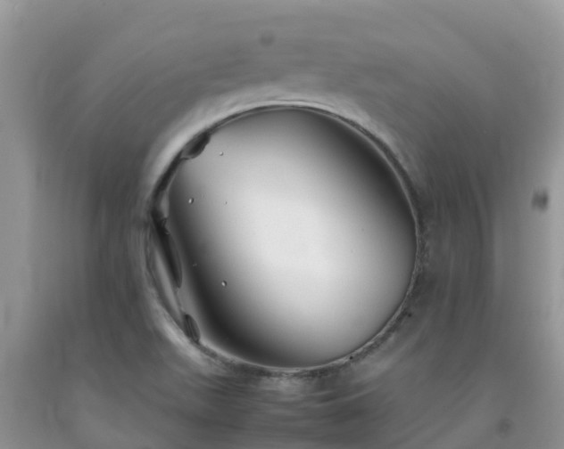 X0000092061511200709191131